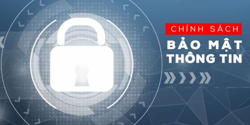 Vua99 thu thập thông tin người chơi như thế nào?